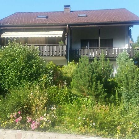 Haus Akelei Lejlighed Todtmoos Eksteriør billede